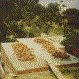 El primer forjat est formigonat.(22-6-95)